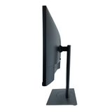 Dell Monitor P2417 | 24 Inch TFT | Full HD 1080p 1920x1080 LCD | LED backlight